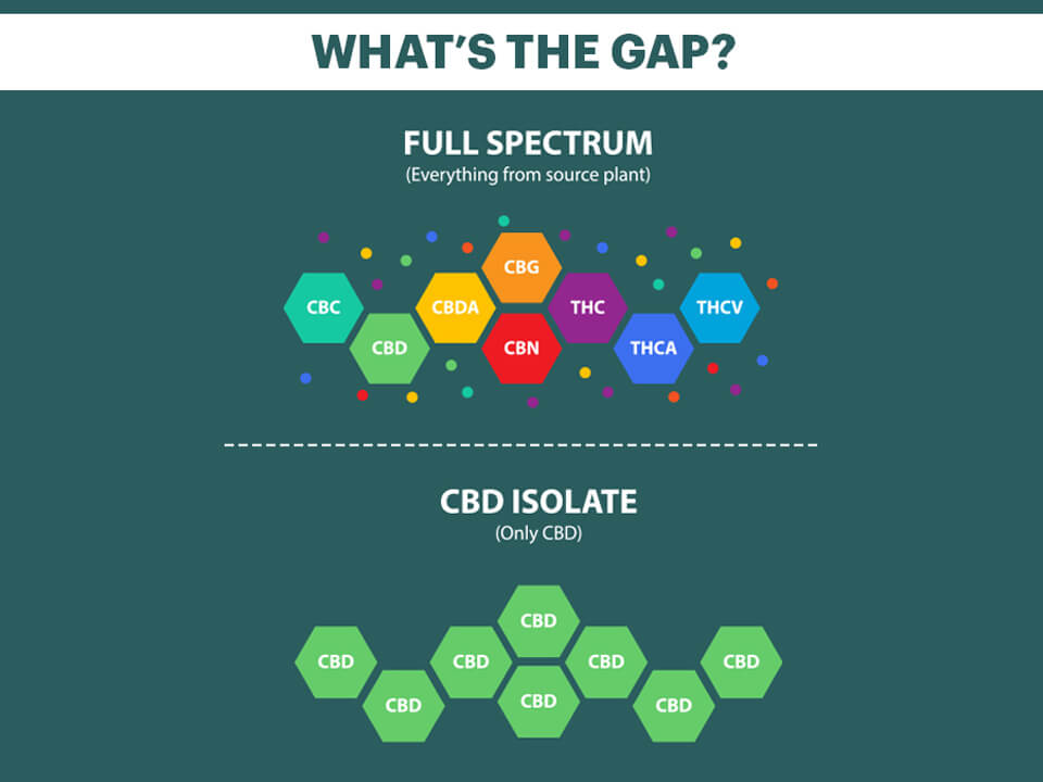 Full Spectrum Cannabis Oil Vs. Cannabidiol Isolate