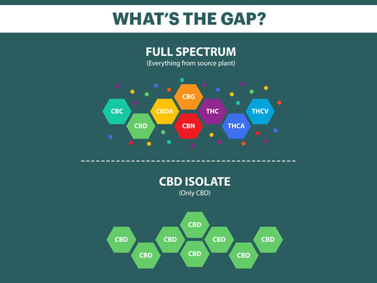 Full Spectrum Cannabis Oil Vs. Cannabidiol Isolate