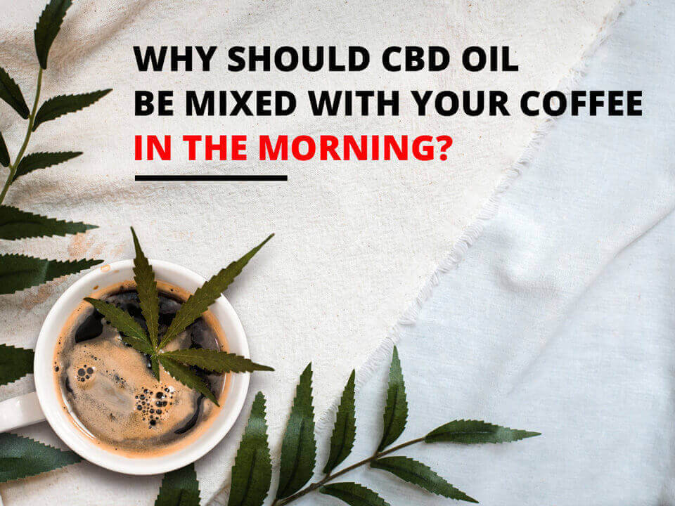Why Should CBD Oil Be Mixed With Your Morning Coffee