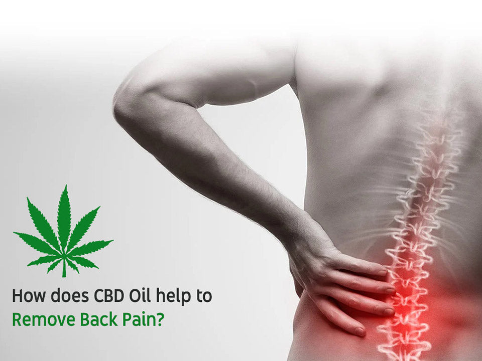 enveed-cbd-back-pain