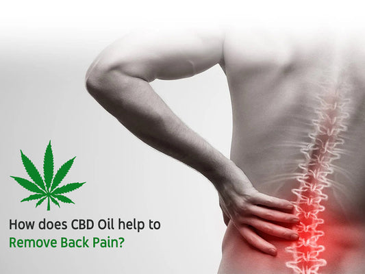 enveed-cbd-back-pain