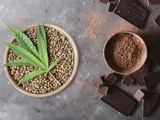 CBD Chocolate