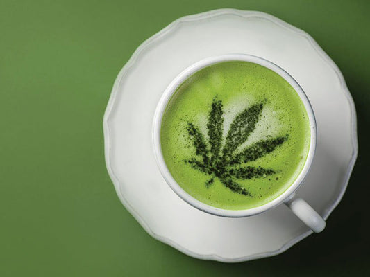 Make Your Own CBD Tea Using These Delicious Flavors