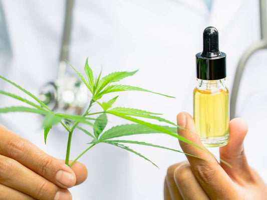 What is CBD, and What are the Health Benefits of CBD?