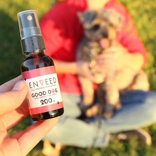 Good Dog - CBD Oil Tincture Spray (200mg)