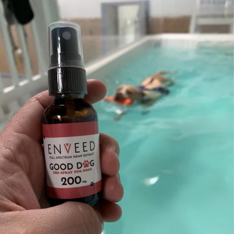 CBD for Dogs
