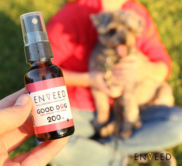 CBD for Dogs
