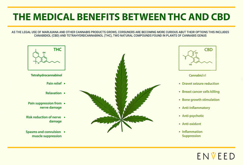 The medical benefits between THC and CBD - Enveed