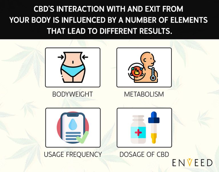 How Long Does It Take to Gain Effects from CBD Oil?